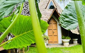 Turtle Wood Cabin