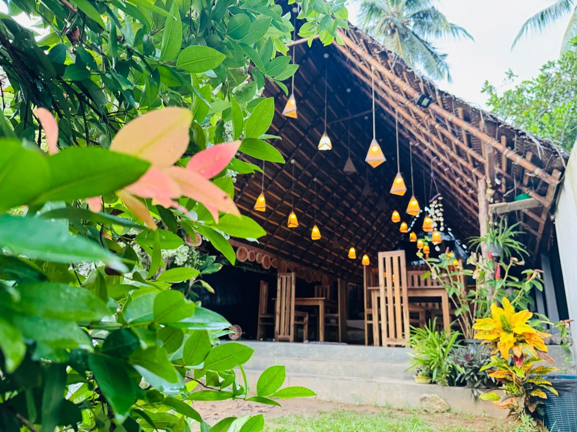 Turtle Wood Cabin Тангалла Экстерьер фото