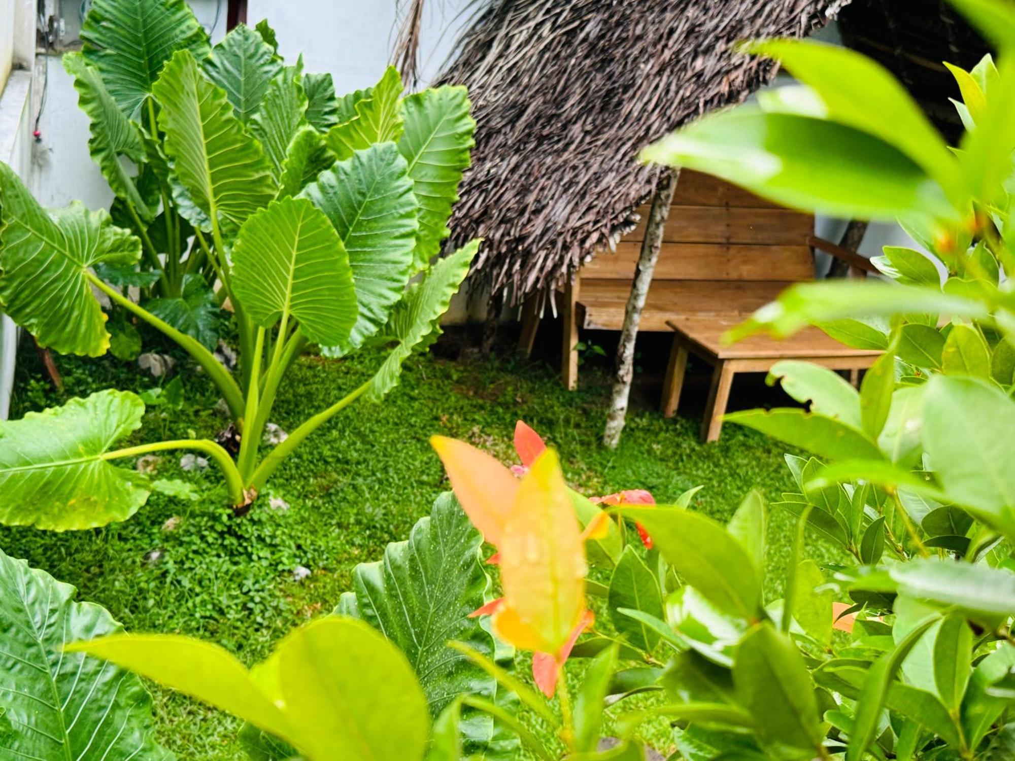 Turtle Wood Cabin Тангалла Экстерьер фото